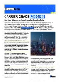 Carrier Grade Logging